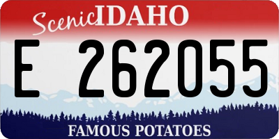 ID license plate E262055