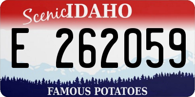 ID license plate E262059