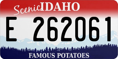 ID license plate E262061
