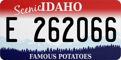 ID license plate E262066