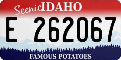 ID license plate E262067