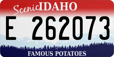 ID license plate E262073