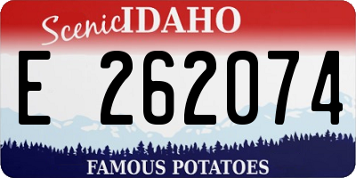 ID license plate E262074
