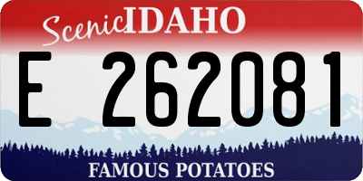 ID license plate E262081