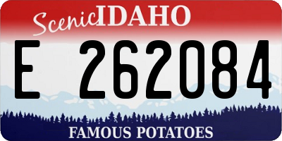 ID license plate E262084