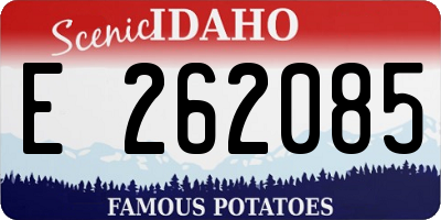 ID license plate E262085