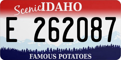 ID license plate E262087