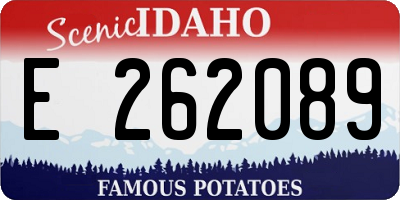ID license plate E262089