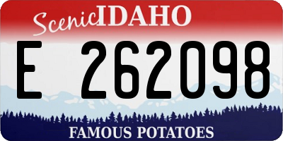 ID license plate E262098