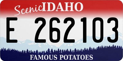 ID license plate E262103