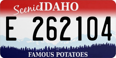 ID license plate E262104