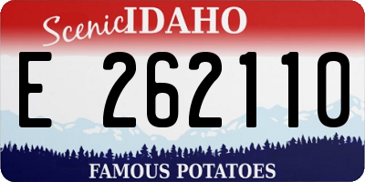 ID license plate E262110