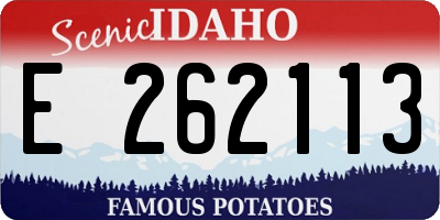 ID license plate E262113