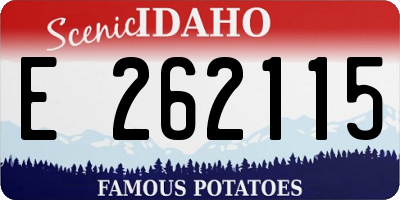 ID license plate E262115