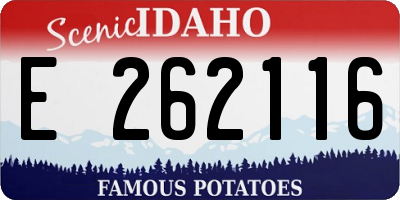 ID license plate E262116