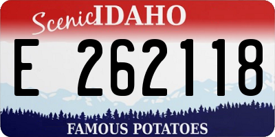 ID license plate E262118