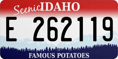 ID license plate E262119
