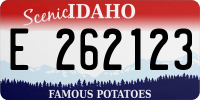 ID license plate E262123