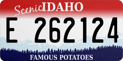 ID license plate E262124