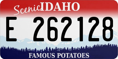 ID license plate E262128
