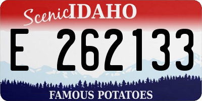 ID license plate E262133