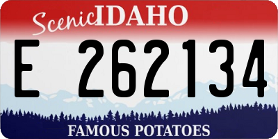 ID license plate E262134
