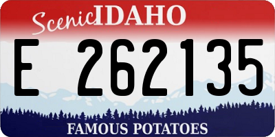 ID license plate E262135