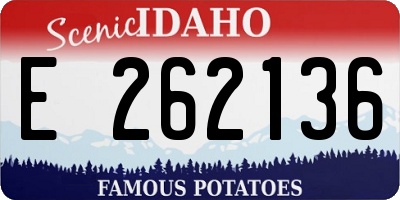 ID license plate E262136