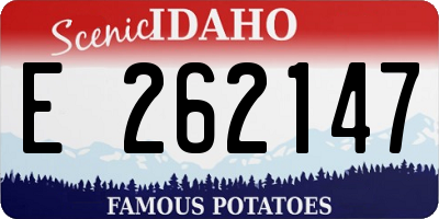 ID license plate E262147