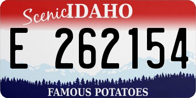 ID license plate E262154