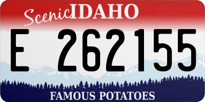 ID license plate E262155
