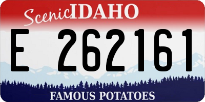 ID license plate E262161