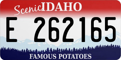 ID license plate E262165