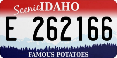 ID license plate E262166