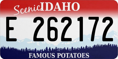 ID license plate E262172