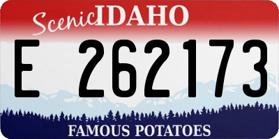 ID license plate E262173