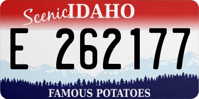 ID license plate E262177