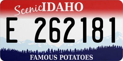 ID license plate E262181