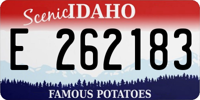 ID license plate E262183