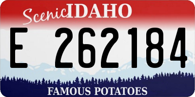 ID license plate E262184