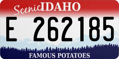 ID license plate E262185