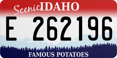 ID license plate E262196
