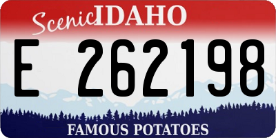 ID license plate E262198