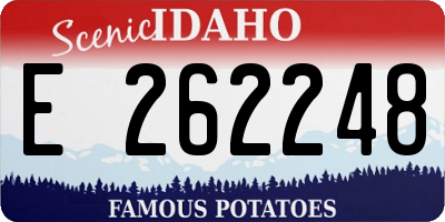 ID license plate E262248