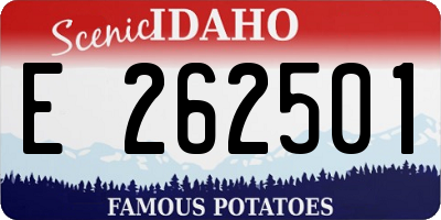 ID license plate E262501