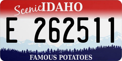 ID license plate E262511