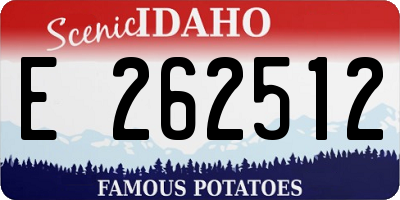ID license plate E262512