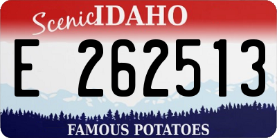 ID license plate E262513
