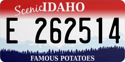 ID license plate E262514