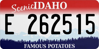 ID license plate E262515